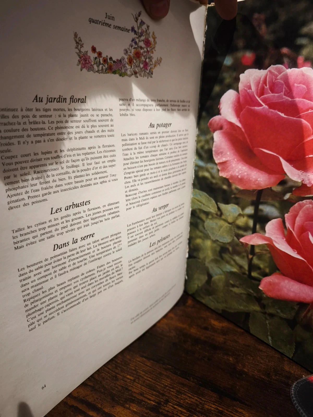 52 weken tuinieren – photo 4